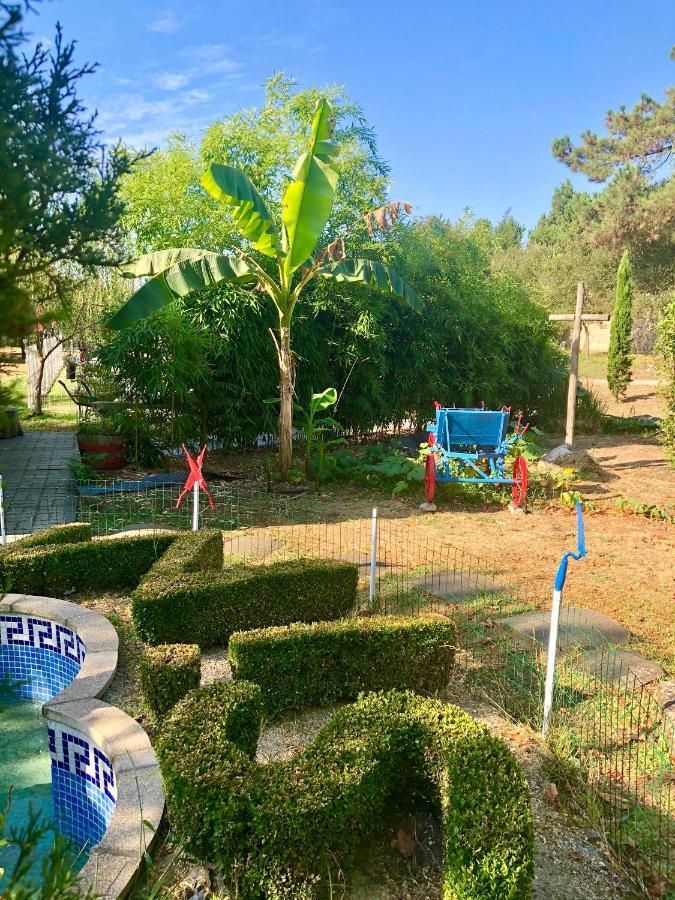 Casa Da Quinta Da Prelada Simao Villa Celorico De Basto Kültér fotó