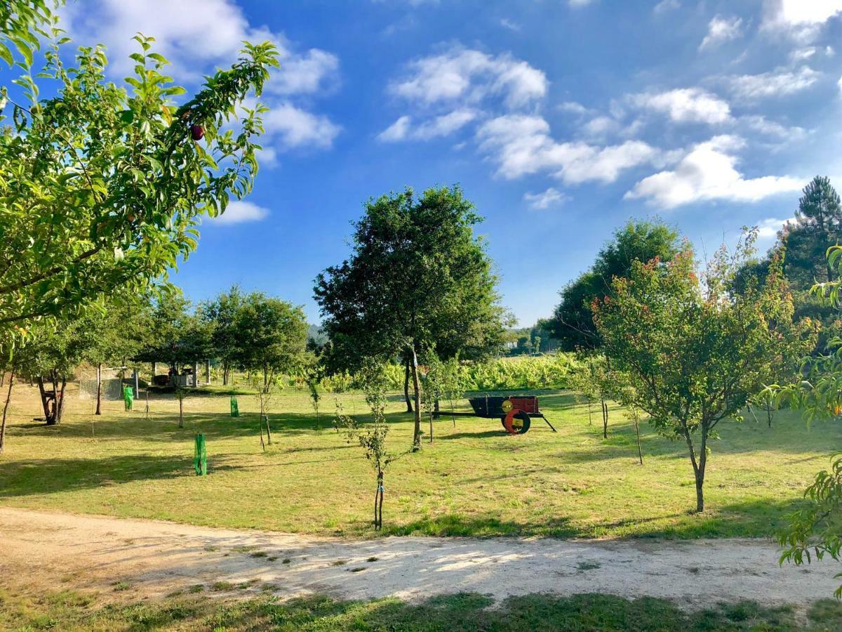 Casa Da Quinta Da Prelada Simao Villa Celorico De Basto Kültér fotó