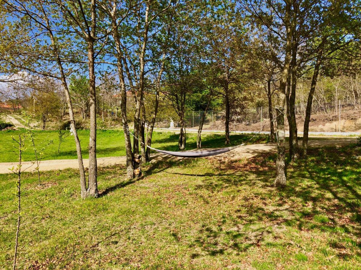 Casa Da Quinta Da Prelada Simao Villa Celorico De Basto Kültér fotó