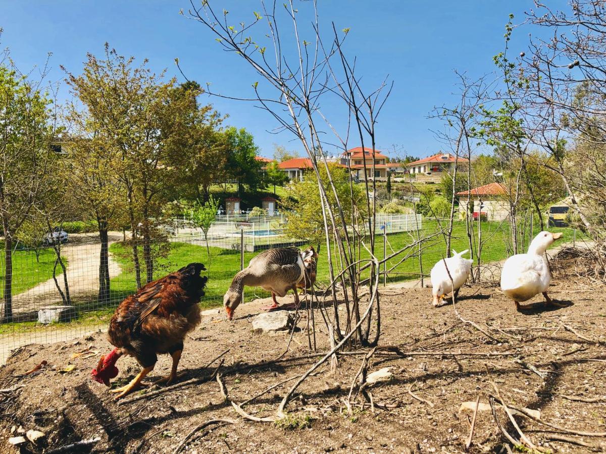 Casa Da Quinta Da Prelada Simao Villa Celorico De Basto Kültér fotó